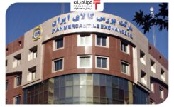 اطلاعیه عرضه بورس کالا/ نوسان قیمت و عرضه محصولات در زنجیره فولاد اخبار