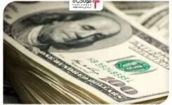 ثبات دلار در کانال ۱۰۲ هزار تومانی/ قیمت سکه کاهشی شد عینک فولادی