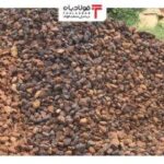 فولادبان | پایگاه خبری فولاد ایران اخبار