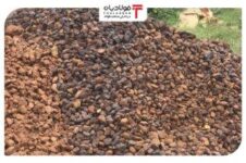 کشف ذخایر عظیم سنگ آهن در استرالیا/ گسترش زیرساختها و تاثیر جهانی بر بازار فولاد کشف ذخایر عظیم سنگ آهن در استرالیا/ گسترش زیرساختها و تاثیر جهانی بر بازار فولاد نرخ دلار امروز نرخ دلار امروز نرخ دلار امروز